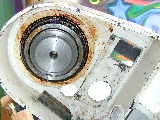 Click to see DSCN7230.JPG