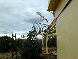 Click to see DSCN7423.JPG