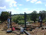 Click to see Dscn5239.jpg