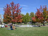 Click to see Dscn5707.jpg