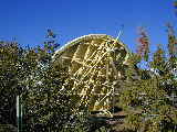 Click to see Dscn6143.jpg