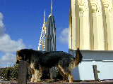 Click to see Dscn6170.jpg