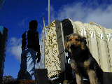 Click to see Dscn6175.jpg