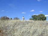 Click to see Dscn4913.jpg