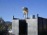 Click to see Dscn6086.jpg