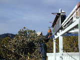 Click to see Dscn6090.jpg
